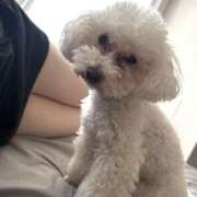 ヒメ日記 2025/02/26 18:36 投稿 うい ちゃんこ東大阪 布施・長田店