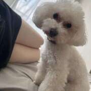 ヒメ日記 2025/04/26 19:24 投稿 うい ちゃんこ東大阪 布施・長田店