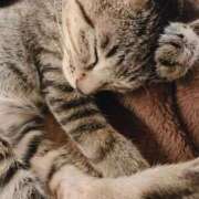 ヒメ日記 2025/05/20 20:18 投稿 うい ちゃんこ東大阪 布施・長田店