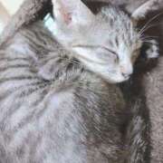 ヒメ日記 2025/09/19 00:04 投稿 うい ちゃんこ東大阪 布施・長田店