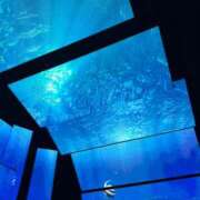 ヒメ日記 2025/10/07 17:24 投稿 うい ちゃんこ東大阪 布施・長田店