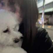 ヒメ日記 2025/12/17 22:45 投稿 うい ちゃんこ東大阪 布施・長田店