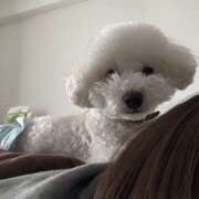 ヒメ日記 2025/12/26 14:04 投稿 うい ちゃんこ東大阪 布施・長田店