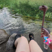 ヒメ日記 2025/12/28 11:47 投稿 うい ちゃんこ東大阪 布施・長田店