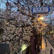 ヒメ日記 2025/03/31 07:43 投稿 まつり すごいエステ京都店