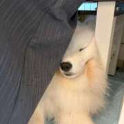 ヒメ日記 2025/07/16 19:33 投稿 まつり すごいエステ京都店