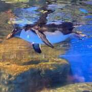 ヒメ日記 2025/08/30 01:10 投稿 ゆうな しごくなエステ