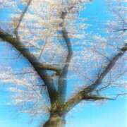 ヒメ日記 2025/04/07 14:37 投稿 地元産/あかり PREMIUMー萌ー