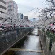 ヒメ日記 2025/03/28 20:46 投稿 ルミ エピソード(品川)