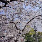 ヒメ日記 2025/04/05 13:46 投稿 ルミ エピソード(品川)