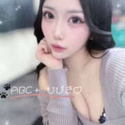 ヒメ日記 2025/11/22 15:33 投稿 ひびき abc＋