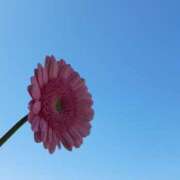 ヒメ日記 2025/02/22 10:21 投稿 くみ 佐賀人妻デリヘル 「デリ夫人」