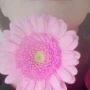 ヒメ日記 2025/02/22 19:11 投稿 くみ 佐賀人妻デリヘル 「デリ夫人」