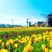 ヒメ日記 2025/02/27 13:22 投稿 くみ 佐賀人妻デリヘル 「デリ夫人」