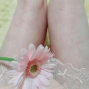 ヒメ日記 2025/03/12 22:44 投稿 くみ 佐賀人妻デリヘル 「デリ夫人」