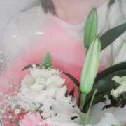 ヒメ日記 2025/03/21 07:36 投稿 くみ 佐賀人妻デリヘル 「デリ夫人」