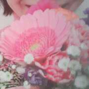 ヒメ日記 2025/03/26 06:21 投稿 くみ 佐賀人妻デリヘル 「デリ夫人」