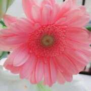 ヒメ日記 2025/03/27 10:00 投稿 くみ 佐賀人妻デリヘル 「デリ夫人」