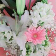 ヒメ日記 2025/03/28 00:59 投稿 くみ 佐賀人妻デリヘル 「デリ夫人」