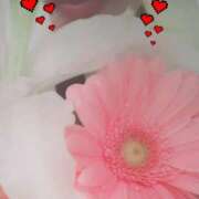 ヒメ日記 2025/03/30 01:51 投稿 くみ 佐賀人妻デリヘル 「デリ夫人」