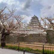 ヒメ日記 2025/04/05 16:31 投稿 くみ 佐賀人妻デリヘル 「デリ夫人」