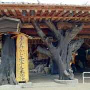 ヒメ日記 2025/04/13 16:34 投稿 くみ 佐賀人妻デリヘル 「デリ夫人」