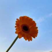 ヒメ日記 2025/04/26 08:00 投稿 くみ 佐賀人妻デリヘル 「デリ夫人」