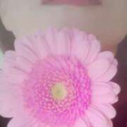 ヒメ日記 2025/06/03 06:24 投稿 くみ 佐賀人妻デリヘル 「デリ夫人」