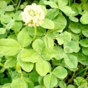 ヒメ日記 2025/06/12 06:21 投稿 くみ 佐賀人妻デリヘル 「デリ夫人」