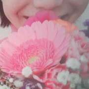 ヒメ日記 2025/06/20 06:21 投稿 くみ 佐賀人妻デリヘル 「デリ夫人」