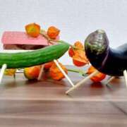 ヒメ日記 2025/08/13 06:08 投稿 くみ 佐賀人妻デリヘル 「デリ夫人」