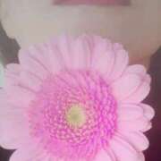 ヒメ日記 2025/09/05 06:12 投稿 くみ 佐賀人妻デリヘル 「デリ夫人」