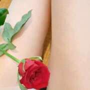 ヒメ日記 2025/10/27 06:23 投稿 くみ 佐賀人妻デリヘル 「デリ夫人」