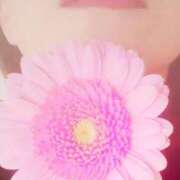 ヒメ日記 2026/02/13 06:23 投稿 くみ 佐賀人妻デリヘル 「デリ夫人」