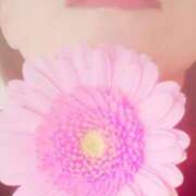 ヒメ日記 2026/03/14 22:06 投稿 くみ 佐賀人妻デリヘル 「デリ夫人」