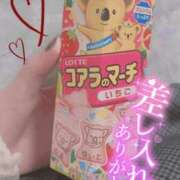 ヒメ日記 2025/02/14 10:06 投稿 さき 新潟市鳥屋野潟ちゃんこ