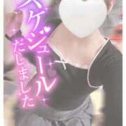 ヒメ日記 2025/02/17 16:56 投稿 さき 新潟市鳥屋野潟ちゃんこ