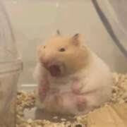 ヒメ日記 2025/02/18 20:35 投稿 さき 新潟市鳥屋野潟ちゃんこ