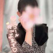 ヒメ日記 2025/03/14 14:36 投稿 さき 新潟市鳥屋野潟ちゃんこ