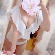 ヒメ日記 2025/05/09 12:25 投稿 さき 新潟市鳥屋野潟ちゃんこ