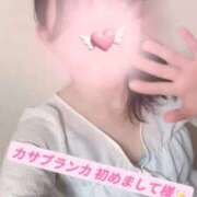 ヒメ日記 2026/06/19 03:06 投稿 さき 新潟市鳥屋野潟ちゃんこ