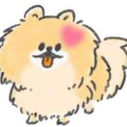 ヒメ日記 2025/03/14 13:49 投稿 ゆめ Second Love（セカンドラブ）