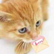 ヒメ日記 2025/03/23 17:36 投稿 ゆめ Second Love（セカンドラブ）