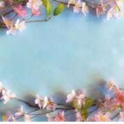 ヒメ日記 2025/03/24 17:20 投稿 ゆめ Second Love（セカンドラブ）