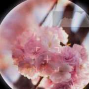 ヒメ日記 2025/04/06 06:02 投稿 ゆめ Second Love（セカンドラブ）