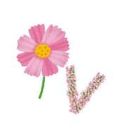 ヒメ日記 2025/04/13 16:27 投稿 ゆめ Second Love（セカンドラブ）