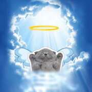 ヒメ日記 2025/04/13 16:40 投稿 ゆめ Second Love（セカンドラブ）