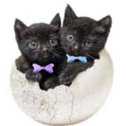 ヒメ日記 2025/04/16 18:29 投稿 ゆめ Second Love（セカンドラブ）