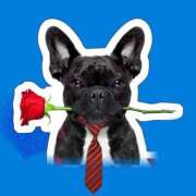 ヒメ日記 2025/04/19 15:28 投稿 ゆめ Second Love（セカンドラブ）