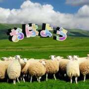 ヒメ日記 2025/05/03 07:45 投稿 ゆめ Second Love（セカンドラブ）